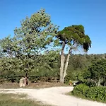 Bauernhof Quinta Do Oratorio