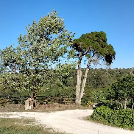 Feriegård Quinta Do Oratorio