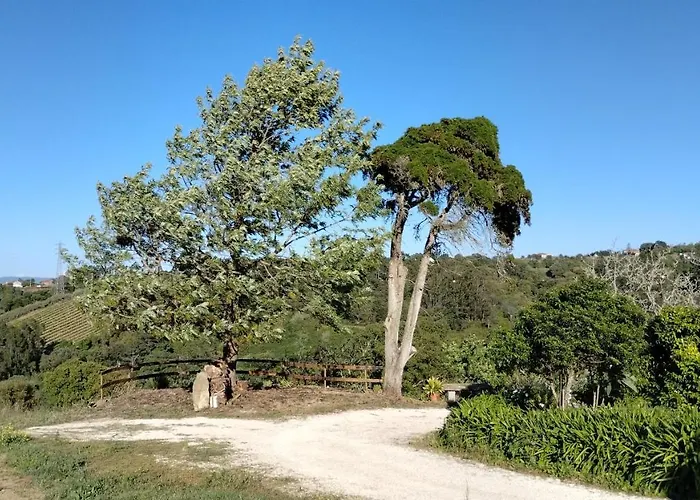 农家乐 Quinta Do Oratorio